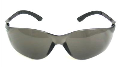 Radians T76-20C Remington T-76 Smoke Glasses at Sears.com