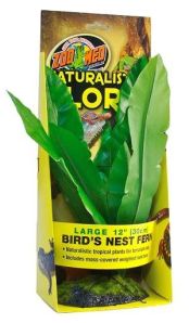 Zoo Med Labs 85018045 Zoo Med Bird Nest Fern 8in