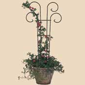 Bosmere L530 36 Inch Scroll Pot Trellis at Sears.com