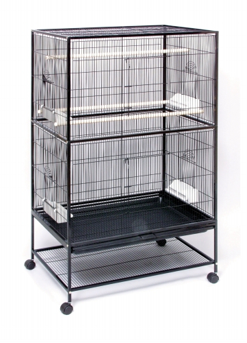 Bird Supplies