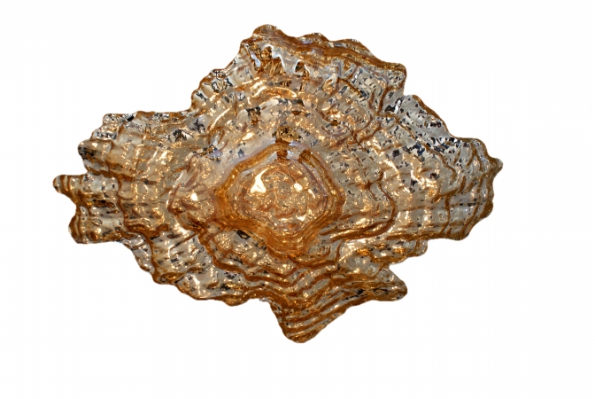 Arda Glassware 56180100 Oyster Handmade 18x13.5 Inch Large Dish Silver Amber