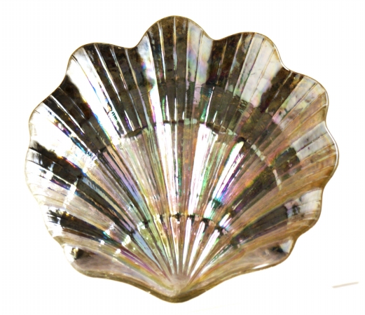 Arda Glassware 50720320 Clam Handmade 8x8 Inch Plate Set of 4 Silver Pearl