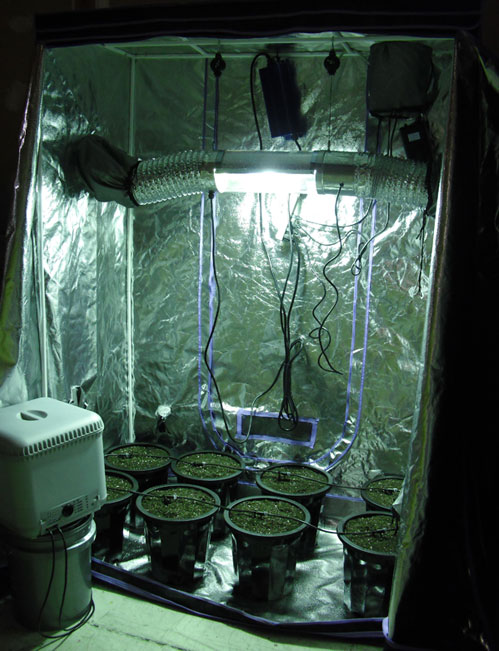 Sunlight Solutions 3044S Tomato Tent - Soil at Sears.com