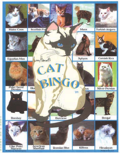 Lucy Hammet Bingo Games Cat Bingo Game LH3377 at Sears.com