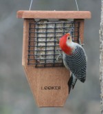 Looker Tailprop Tailprop Suet Feeder