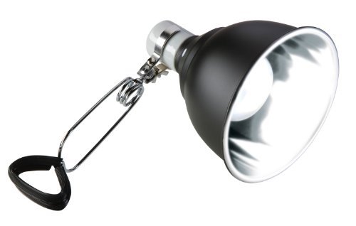 RC Hagen PT2057 Exo Terra Mirror Dome Light 7 in. at Sears.com