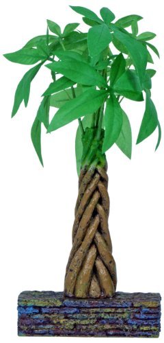 Rc Hagen 12210 Marina Betta Kit Money Tree Ornament