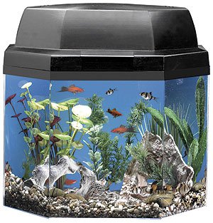 Essential Pet Products Aq15002blk Aqua Brite 5 Gallon Fish Tank