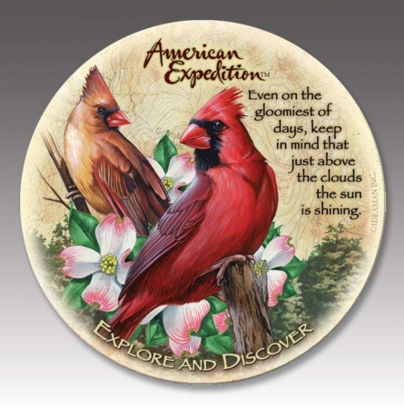 Ideaman American Expediton CTST-128 Northern Cardinal Stone Coaster Set at Sears.com