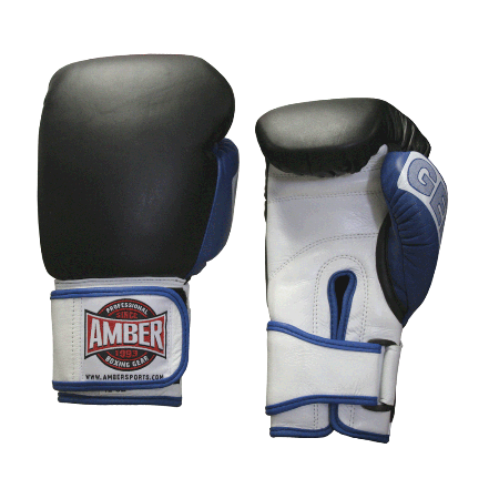 Amber Sporting Goods Amber Sporting GTGV-12 Gel Training Gloves Hook & Loop 12oz at Sears.com