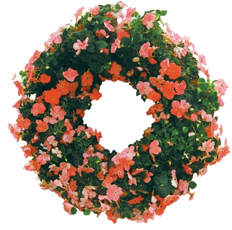 Austram 16in. Green Growing Wreath With Hanger 506712 - Pack of 6 at Sears.com