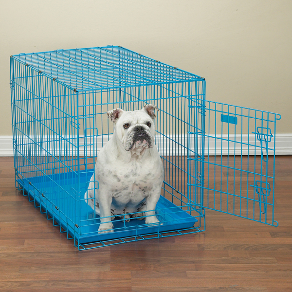 Pet Pals ZW719 18 19 ProSelect Crates 18x12x15 In Blue S dog kennel