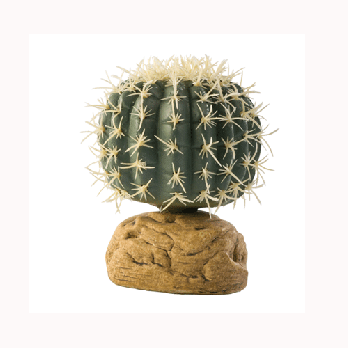 Rc Hagen Pt2980 Exo Terra Barrel Cactus Terrarium Plant, Small