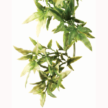 Rc Hagen Pt3010 Exo Terra Plastic Terrarium Plant, Medium, Croton