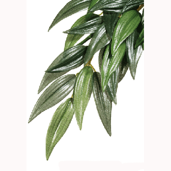 Rc Hagen Pt3051 Exo Terra Silk Terrarium Plant, Large, Ruscus