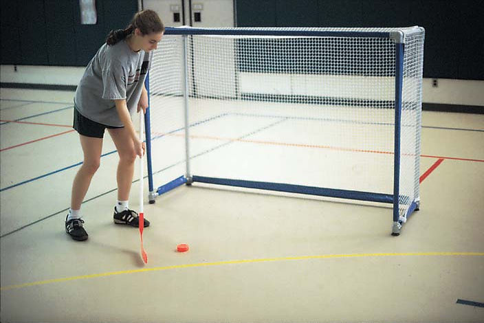Goal Sporting Goods FLG46 Goal Sporting Goods Deluxe Floor Hockey Goal at Sears.com