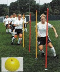 Goal Sporting Goods API8 Indoor Agility Poles at Sears.com