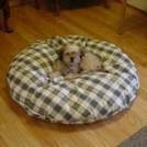 O&'donnell Industries ODonnell Industries 64500 24 x 30 All Fabric Snoozer Puppy Economy Pet Bed - Assorted Colors-Patterns at Sears.com