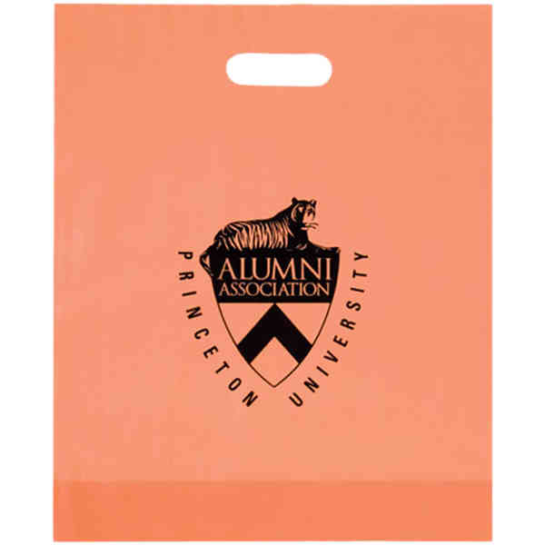 AAB 19FD15184 15 in. x 18 in. Frosted Die Cut Bag - Pack of 250 at Sears.com