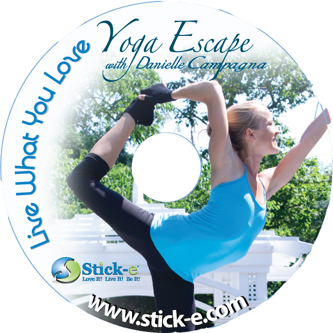Yoga Stick-e Socks 3862 Stick-e Live What You Love Yoga Escape with Danielle Campagna at Sears.com