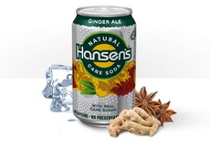 Hansen&'S Hansens 04825 Hansens Ginger Ale- 3x8x12 Oz at Sears.com
