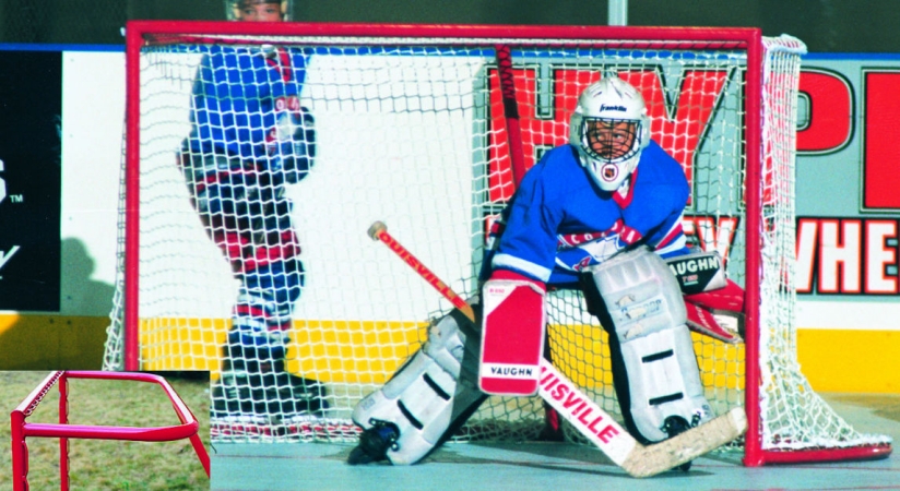 Goal Sporting Goods IHG1 Deluxe Hockey Goal at Sears.com