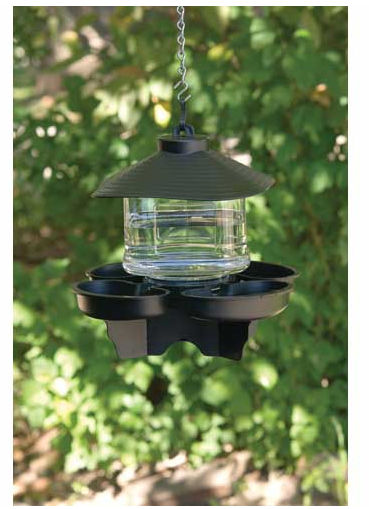 First Nature FN3039 Clear Lantern Bird Bath Waterer at Sears.com
