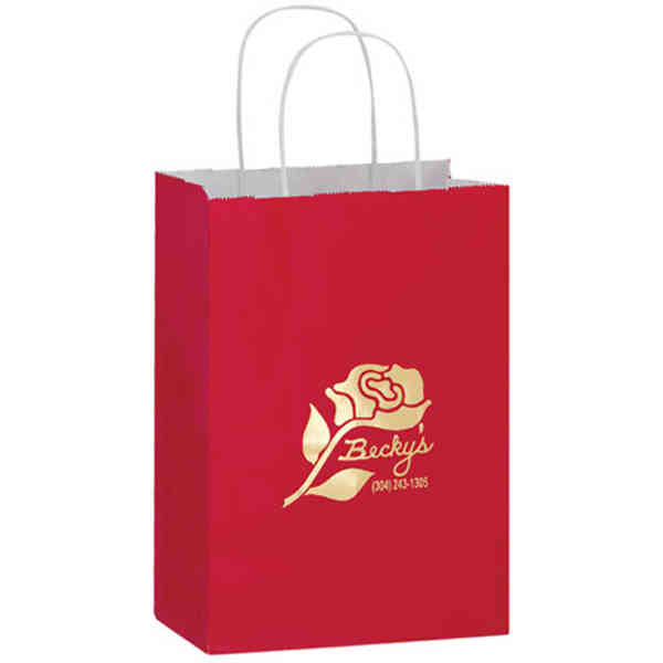 AAB 3G8410 8 in. x 10.5 in. Gloss Paper Shopping Bag - Pack of 250 at Sears.com