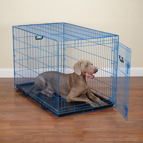PetEdge Crate Appeal Color Crate XLarge - Pink Punch dog kennel