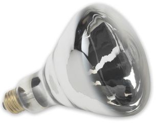 Durvet Pet Supreme Lighting Heat Lamp Bulb White 250 Watt Pack Of 12 - 03504/6-01338 at Sears.com