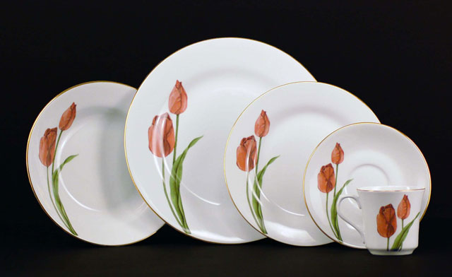 Euland China Dsfl2 001t Tulip Dinnerware Set Service for 8