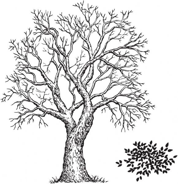 Alvin & Company Alvin SSL-3160 Tree & Foliage Stamp Set (2) at Sears.com