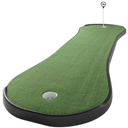 Tour Links PG-DB2PP-1 Dogbone Putting Green at Sears.com
