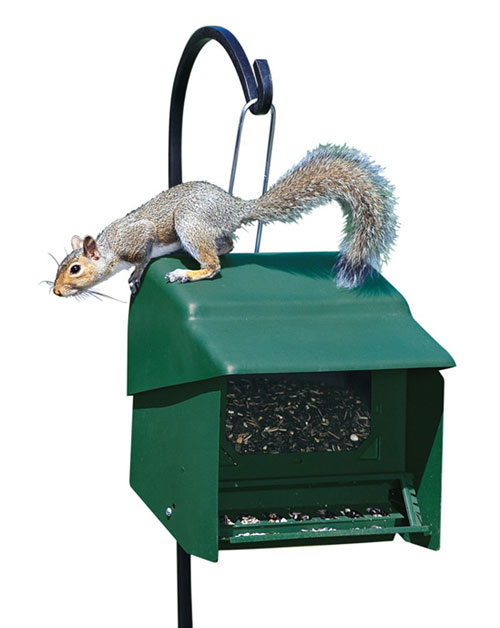 Homestead Hs3201s Super Stop A Squirrel Bird Feeder