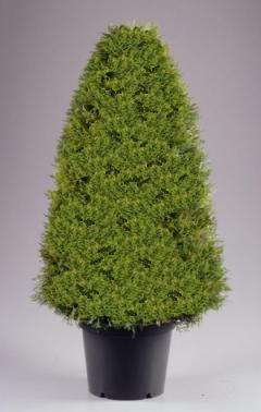 National Tree Company LCY-36 36 Inch Upright Juniper Tree in Green Round Plastic Pot at Sears.com