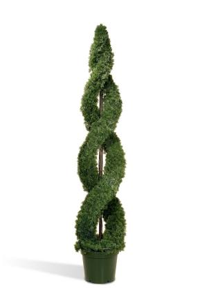 National Tree Company LCDS-702-60 60 Inch Double Cedar Spiral Tree in Green Round Plastic Pot at Sears.com