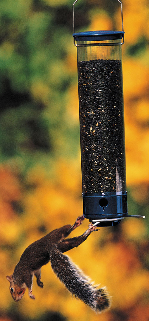 Droll Yankees Inc Yankee Whipper 180 Degree Bird Feeder
