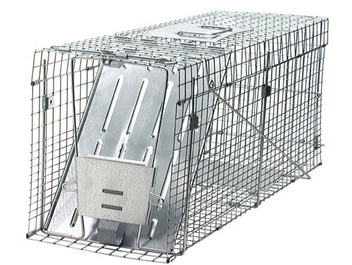 Havahart Raccoon Collapsible Trap 32 X 10.5 X 12.5