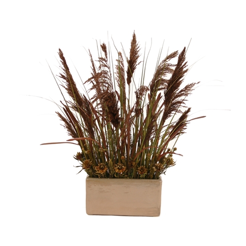 Ddi 3356 Dried Greenery - Fall Mix of Cedar, Grasses and Reeds in a Mocha Ceramic Planter at Sears.com