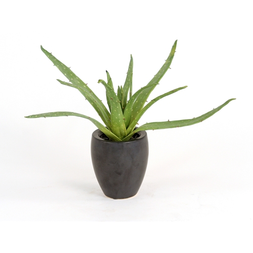 Ddi 2633-2 Silk Greenery - Aloe Plant in a Matte Black Metallic Plum Pot  - Pack of - 2 at Sears.com