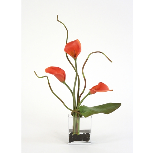 Ddi 15770A Waterlook Silk Rust Calla Lilies with a Tropical Leaf in Rectangular Glass at Sears.com