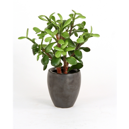 Ddi 2632-2 Silk Greenery - Jade Plant in a Matte Black Metallic Plum Pot  - Pack of - 2 at Sears.com