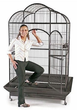 Prevue Pet Products Prevue Hendryx PP-3155S Silverado Macaw Dome Top Cage at Sears.com