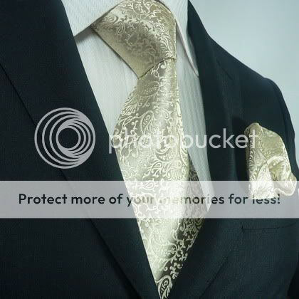The Dapper Tie Men's Ivory Paisley 100% Silk Tie Set 34K at Sears.com