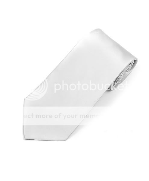 The Dapper Tie New Solid White Silk satin Neck Tie TheDapperTie SS1301 at Sears.com
