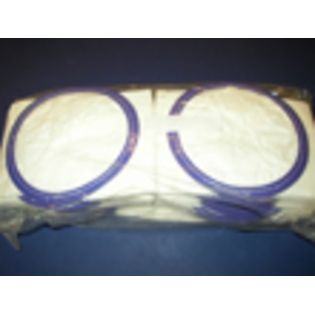 Oreck  Backpack Vacuum Cleaner Bags Backpack Vacuum Cleaner Bags 25 Pack at Sears.com
