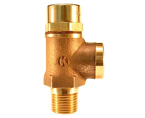 Kingston Valves 120E-4-250 1/2" Ethyl. Pro. Disc Non-code Side Relief Valve, Special Disc/Brass Seat, 250 PSI at Sears.com