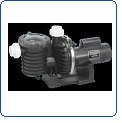 Pentair Sta-Rite P6RA6F-206L Max-E-Pro Standard Efficiency Single Speed Up Rated Pool and Spa Pump, 1-1/2 HP, 115/230-Volt at Sears.com