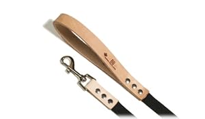 Buddy Belts Natural Collection Accent Leather/Nylon Pet Leash, 3/4-Inch by 6-Feet, Natural at Sears.com