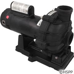 Pentair Sta-Rite TPEAAYG-168L Dyna-Jet TPE-Series 2-Speed Energy Efficient Spa and Water Features Pump, 230-Volt, 2-1/2 - 1/3 HP at Sears.com
